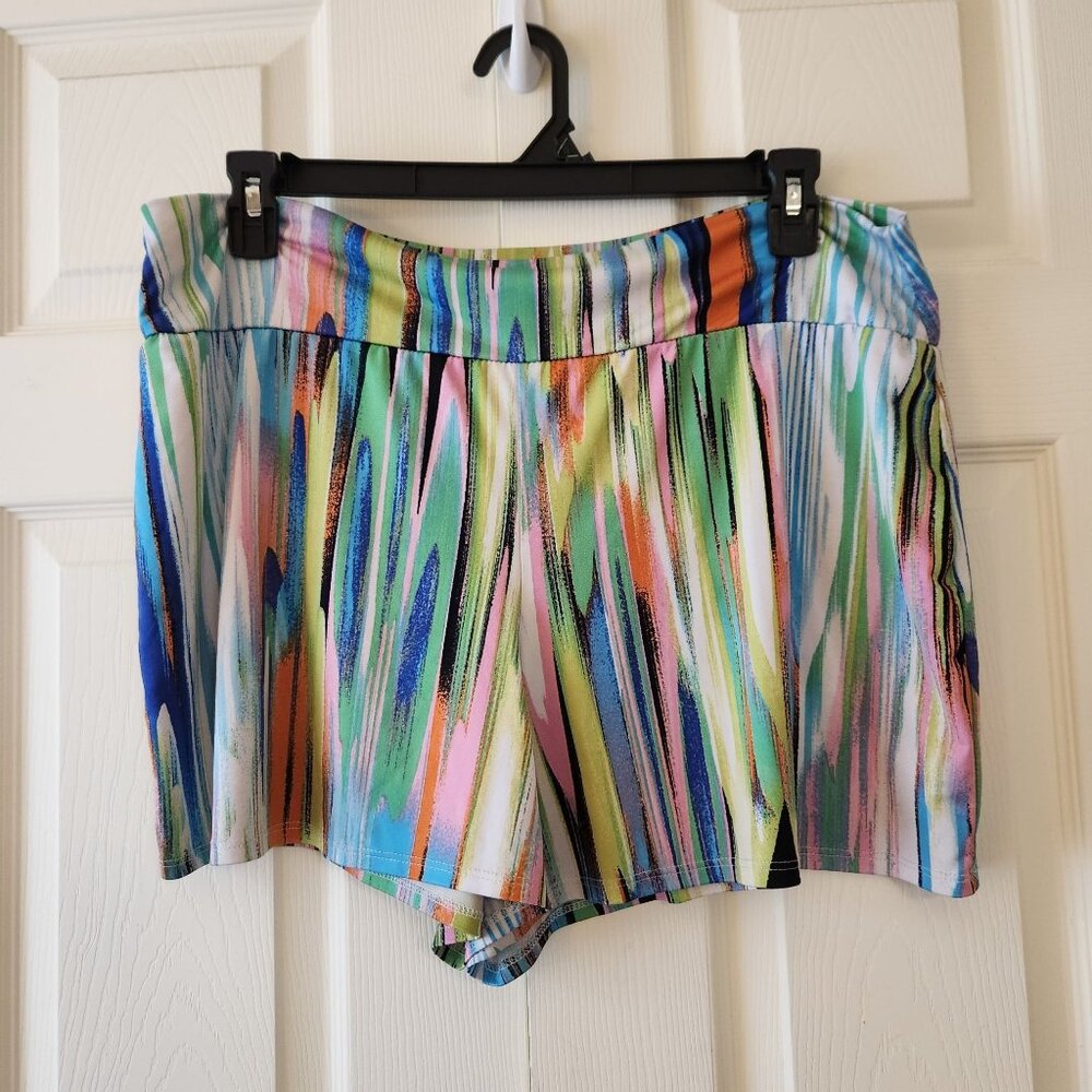 Sunny Leigh Womens Shorts Size XL Colorful Abstract Print